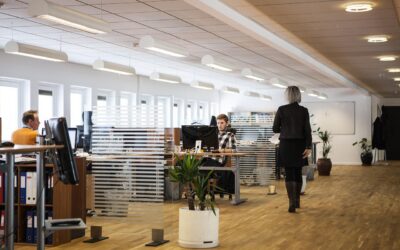 Cómo elegir una empresa de desarrollo de software a medida